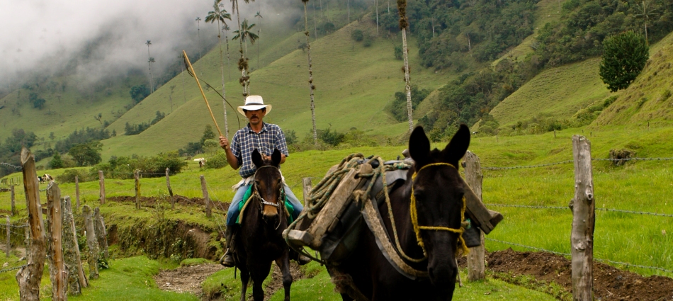 Happy2Travel.eu: slideshow image 1