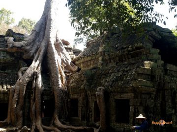 Svätyňa Ta Prohm v Angkor Wat, Kambodža. Úžasné, neopakovateľné miesto