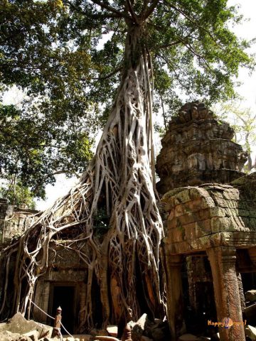 Svätyňa Ta Prohm v Angkor Wat, Kambodža. Pohľady, ktoré vyrážajú dych