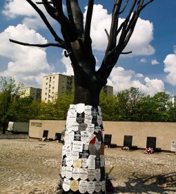 Väzenie Gestapa Pawiak, pamätný strom obetí. V roku 2010 strom zničili v deň fašistickej demonštrácie.