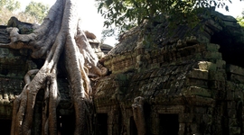 Svätyňa Ta Prohm v Angkor Wat, Kambodža. Úžasné, neopakovateľné miesto