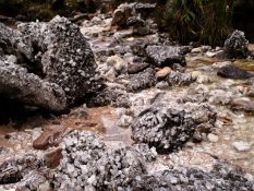 Kryštálové údolie: Roraíma je domovom tisícov rastúcich drahokamov